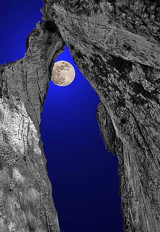 8-luna